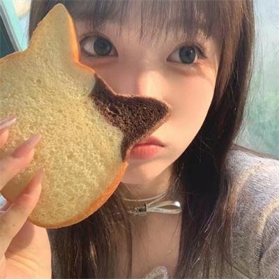 人狗对对碰